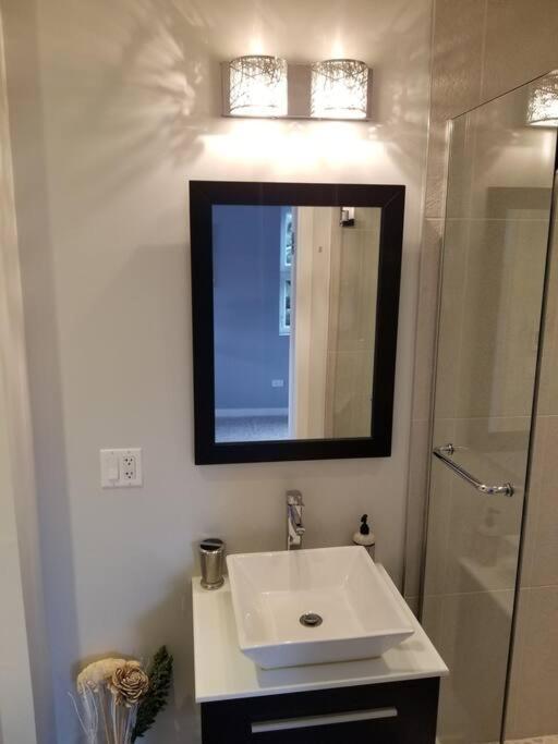 דירות שיקגו Nice And Cozy. Sleeps 5. מראה חיצוני תמונה