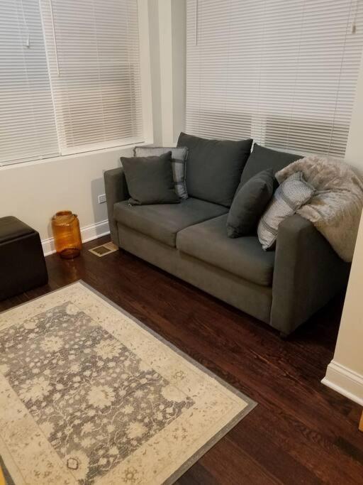 דירות שיקגו Nice And Cozy. Sleeps 5. מראה חיצוני תמונה