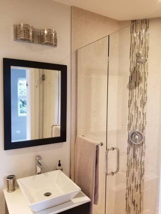 דירות שיקגו Nice And Cozy. Sleeps 5. מראה חיצוני תמונה